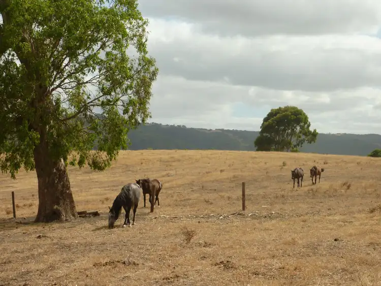 Sixth view of Homely rural property listing, 130 James Trac St, Yankalilla SA 5203
