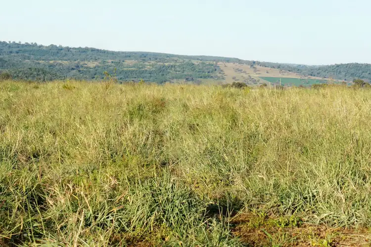 Seventh view of Homely rural property listing, Address available on request