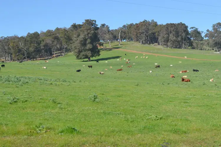 Fifth view of Homely rural property listing, Lot 483 Hawterville Road, Mullalyup WA 6252