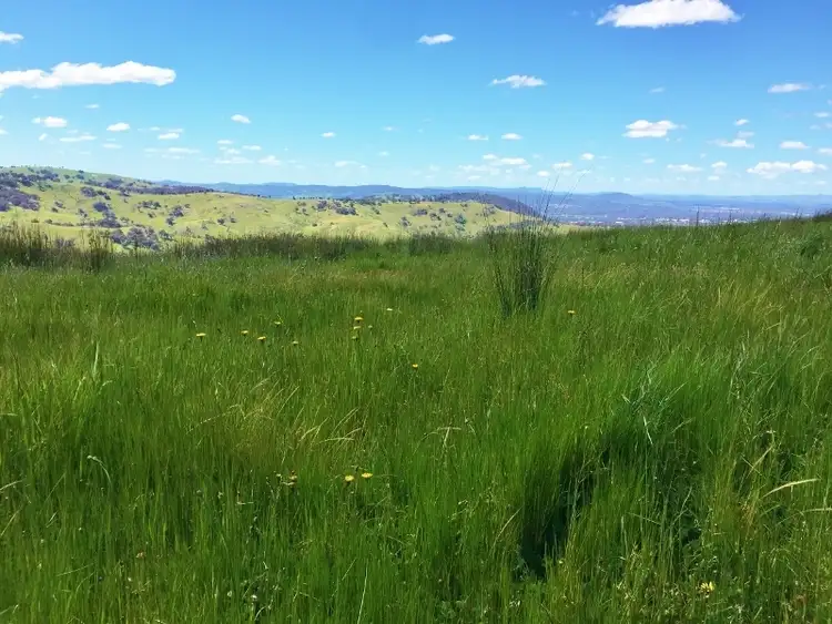 Seventh view of Homely rural property listing, . Spring Gully Road, Wodonga VIC 3690