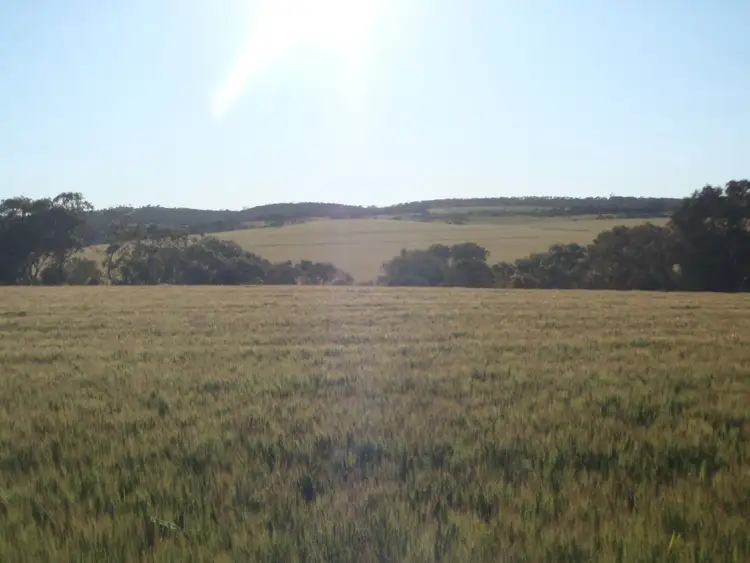 Seventh view of Homely land listing, ./L2 & 3 Beetaloo Valley Road, Beetaloo SA 5523