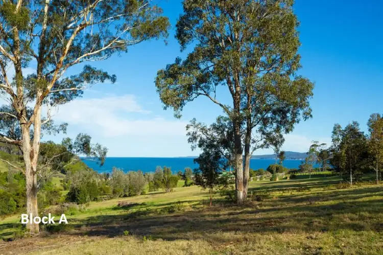 Second view of Homely rural property listing, LA (Part Lot 27) K B Timms Drive, Eden NSW 2551