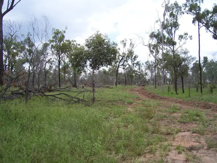 Main view of Homely rural property listing, Lot 22 Fingers Road, Dingo QLD 4702