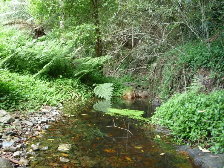 Sixth view of Homely rural property listing, Address available on request