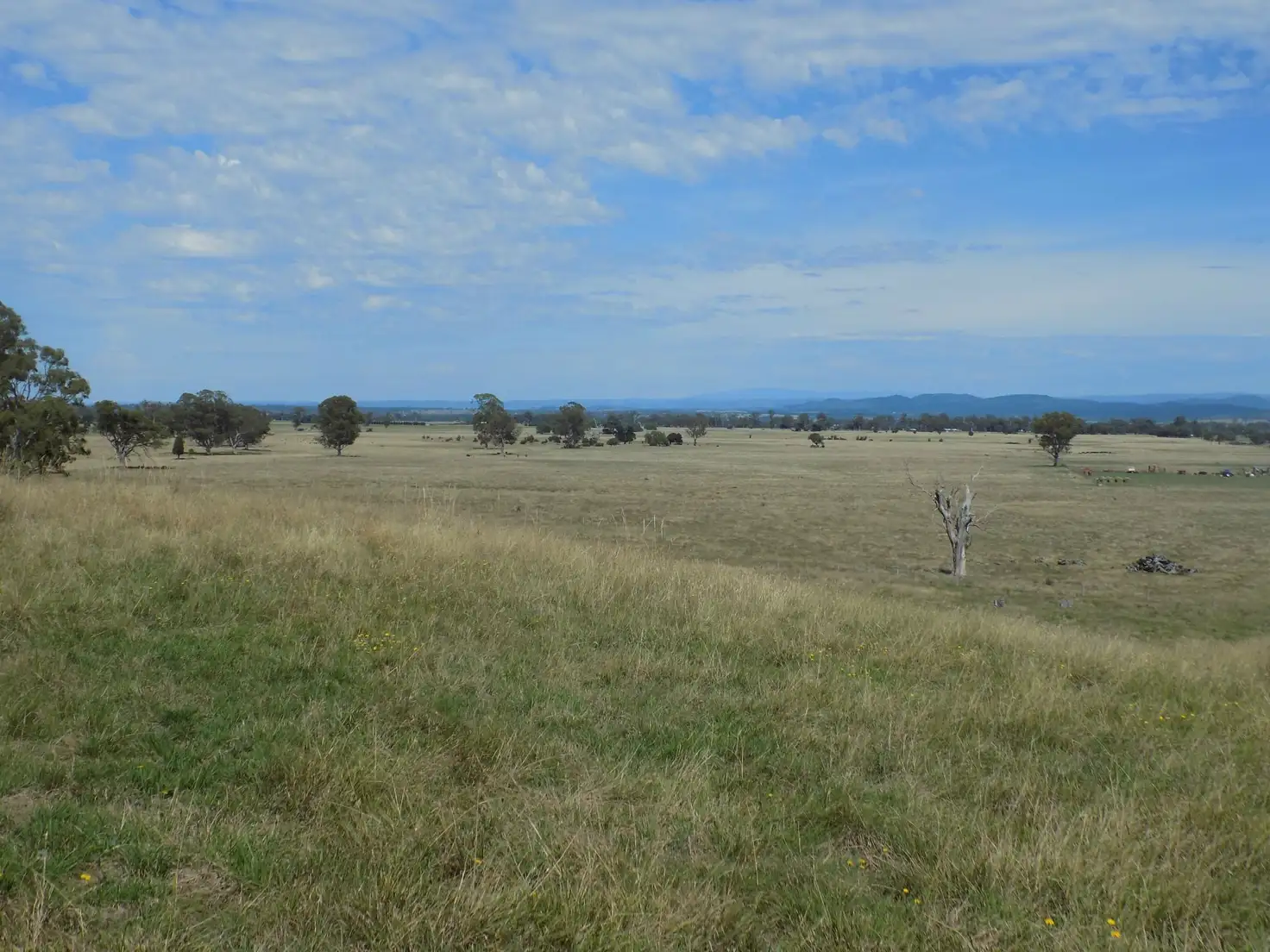 Main view of Homely land listing, 1321 Briagolong Road, Briagolong VIC 3860