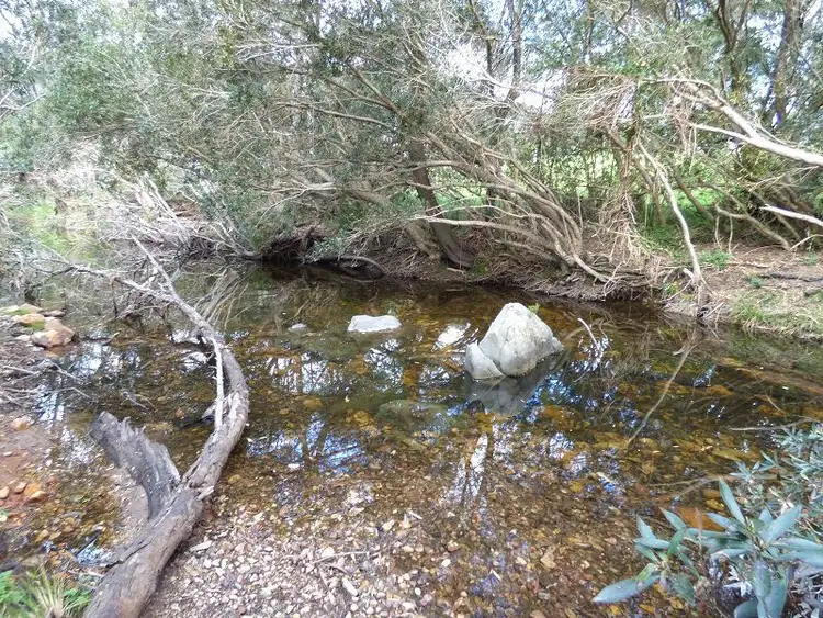 Fourth view of Homely rural property listing, 9 Back Creek Road, Nethercote NSW 2549