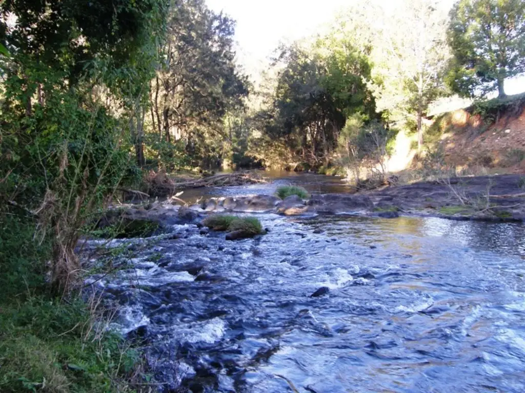 Main view of Homely rural property listing, 8 BRINDLE CREEK ROAD, Kyogle NSW 2474