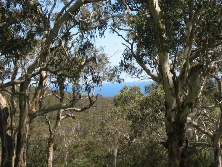 Fourth view of Homely rural property listing, Sec 111 Maple Road, Normanville SA 5204