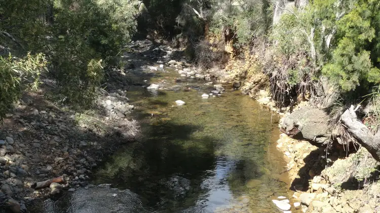 Main view of Homely rural property listing, 258 Hop Valley Road, Blackwood Creek TAS 7301