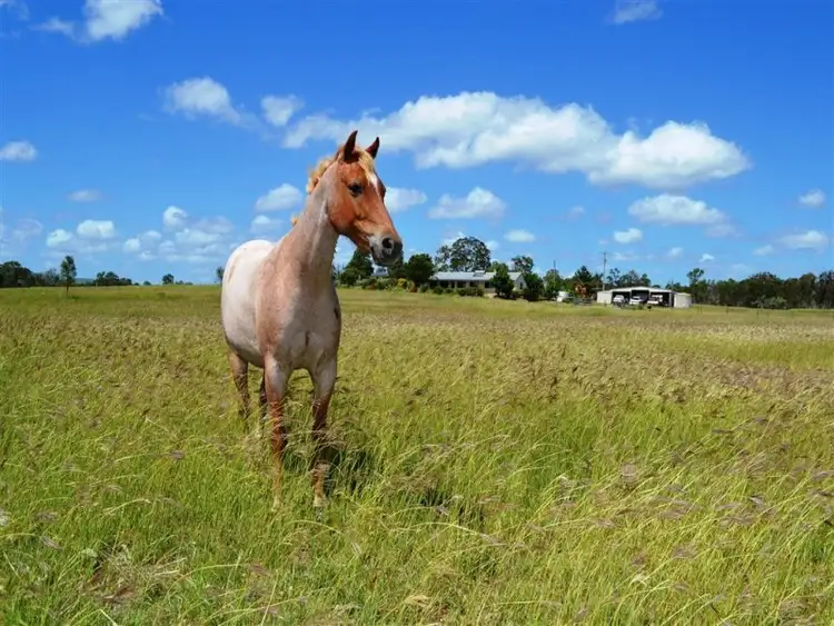 Third view of Homely rural property listing, 45 Hume Road, Kabra QLD 4702