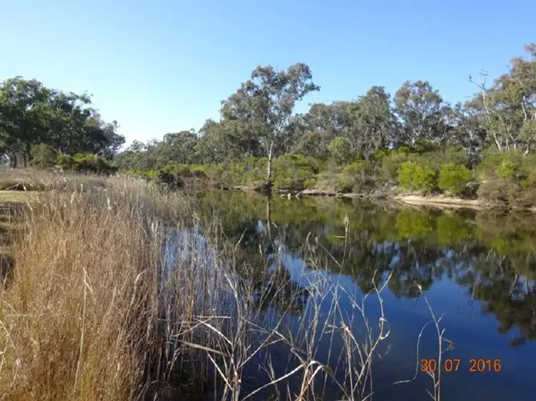 Fourth view of Homely rural property listing, 113 Mt Stirling Road, Stanthorpe QLD 4380