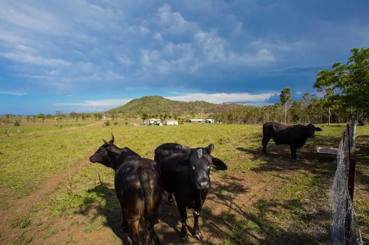 Third view of Homely house listing, 42 Vellas Road, Marian QLD 4753