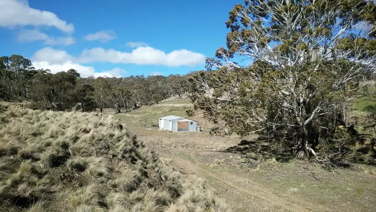 Third view of Homely rural property listing, 1685 Jerangle Road, Bredbo NSW 2626