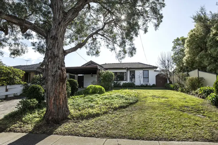 14 Laura Grove, Avondale Heights VIC 3034