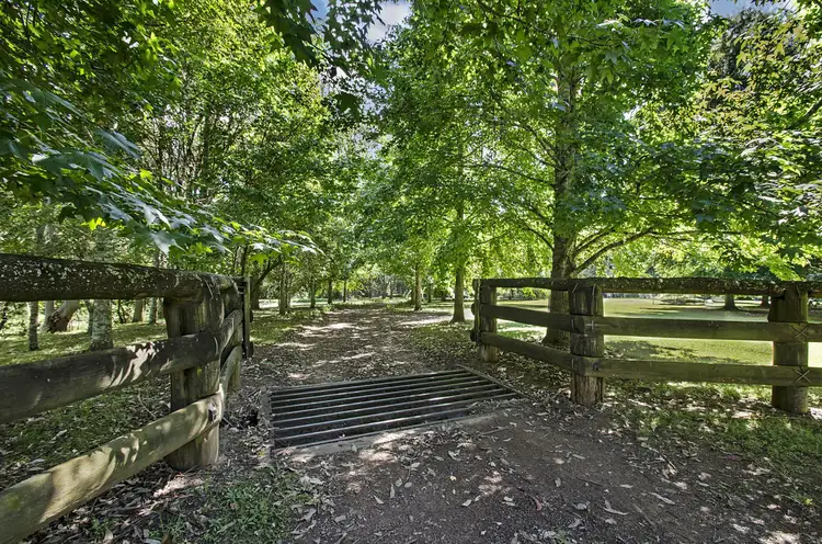 Second view of Homely rural property listing, 930 Kindee Road, Kindee NSW 2446