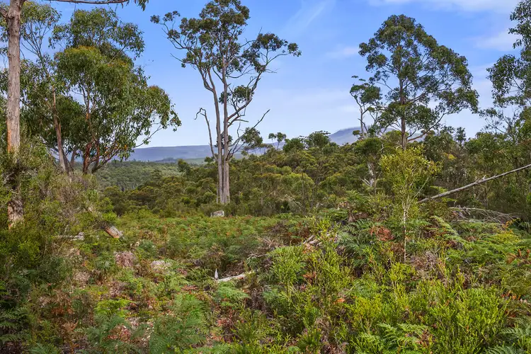Sixth view of Homely land listing, 251862/3 Hastings Bay Esplanade, Hastings TAS 7109