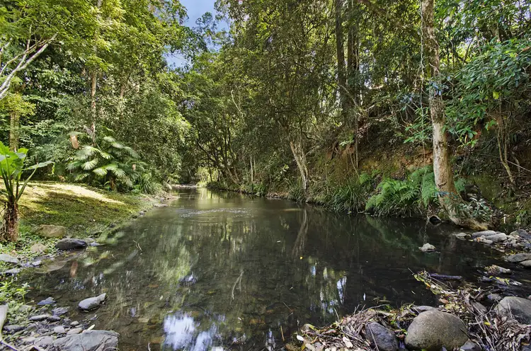 Third view of Homely rural property listing, 930 Kindee Road, Kindee NSW 2446