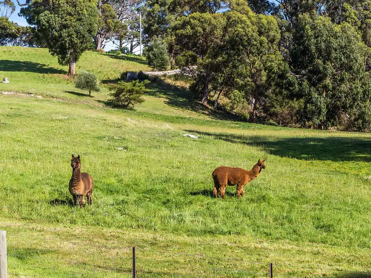 Fourth view of Homely house listing, 766 Nubeena Road, Premaydena TAS 7185