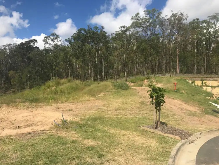 Second view of Homely land listing, Lot 53 Tamarind Place, Pimpama QLD 4209