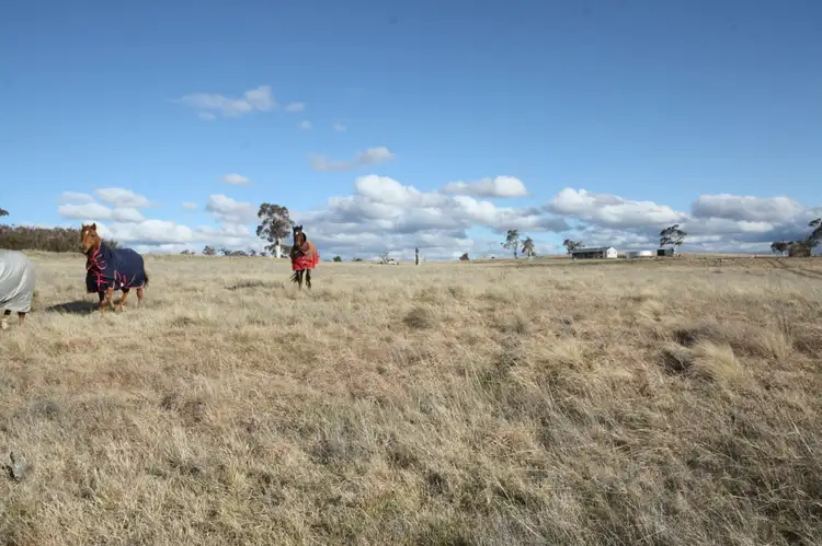 Third view of Homely rural property listing, 6 Dog Rock Close, Mulloon NSW 2622