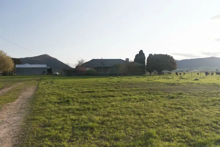 Seventh view of Homely rural property listing, 11362 Murray River Road, Tintaldra VIC 3708