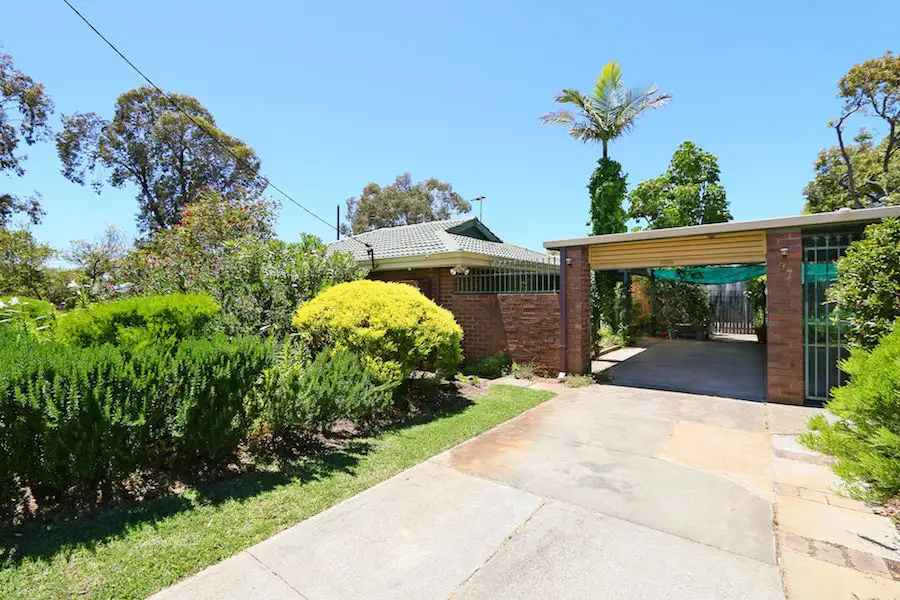 Main view of Homely house listing, 97 Cortis Way, Langford WA 6147