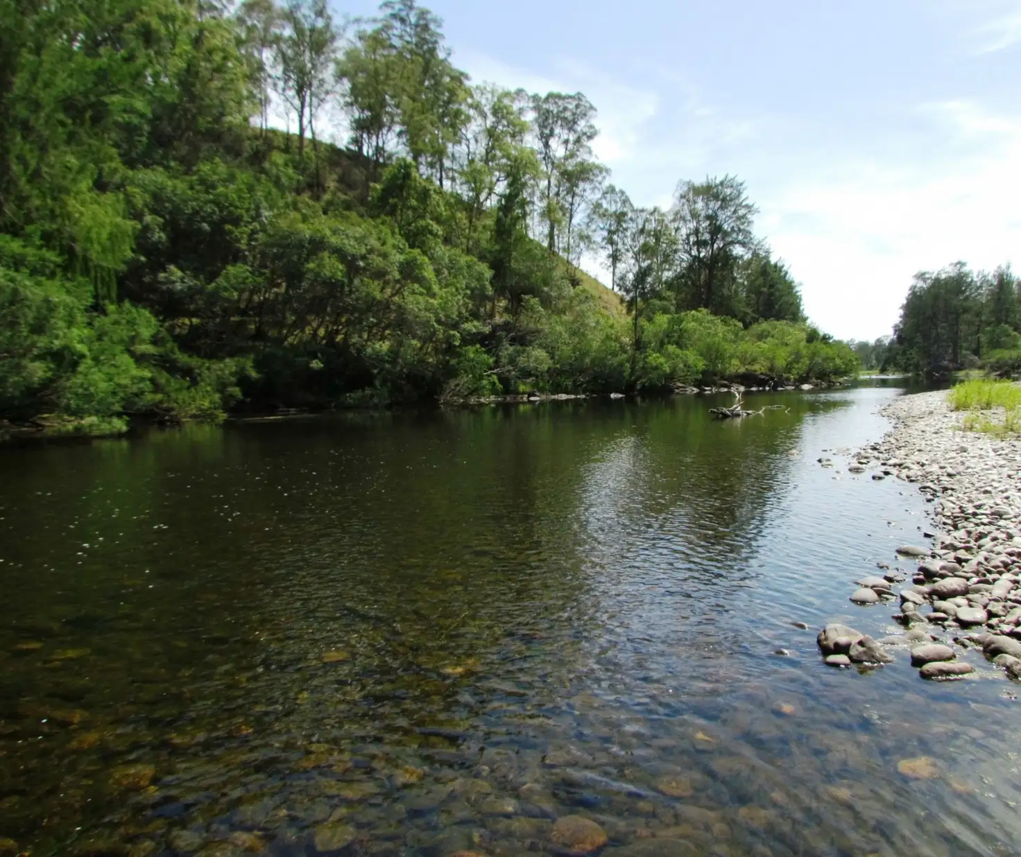 Main view of Homely rural property listing, Address available on request
