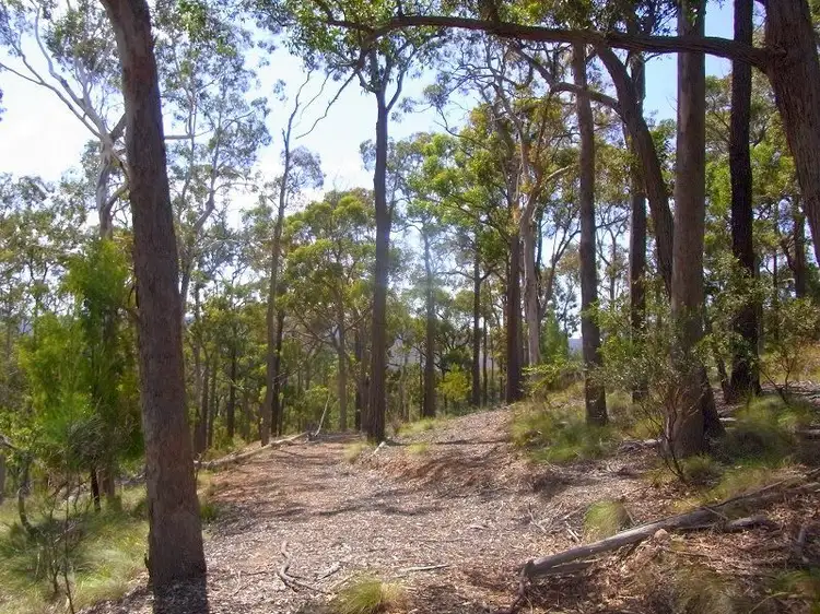 Second view of Homely rural property listing, L417 Lyrebird Lane, Millingandi NSW 2549