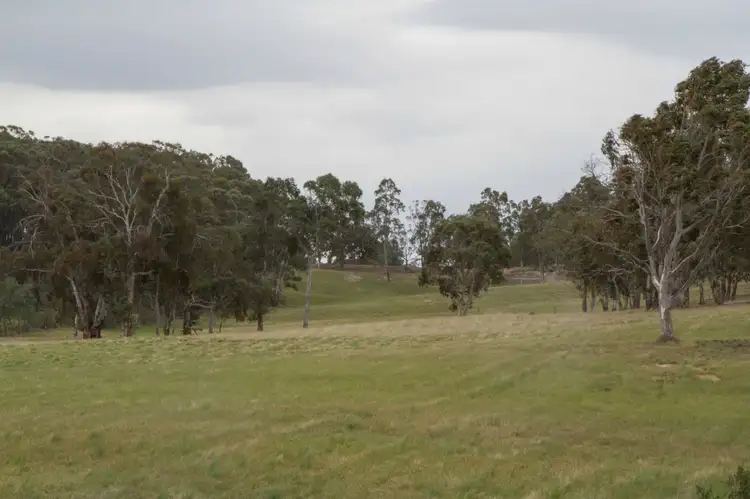 Fourth view of Homely rural property listing, 205 Ilford Hall Road, Ilford NSW 2850