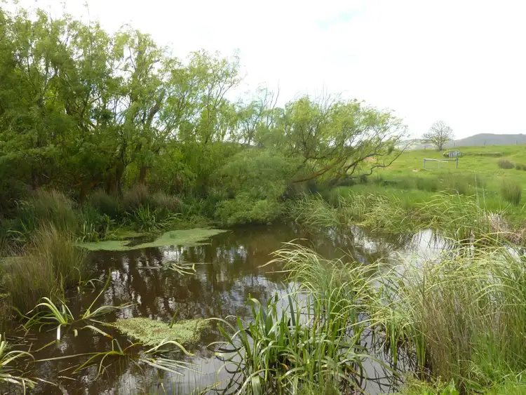 Seventh view of Homely rural property listing, Address available on request