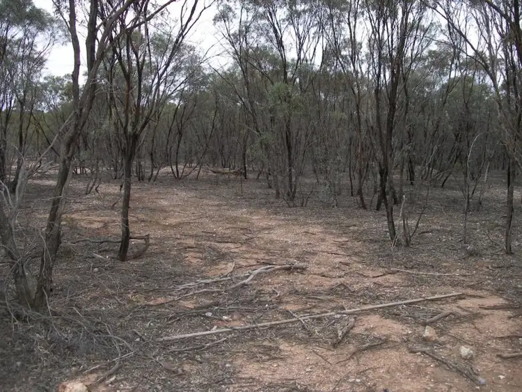 Fifth view of Homely land listing, L1 Josephine Drive, Wedderburn VIC 3518