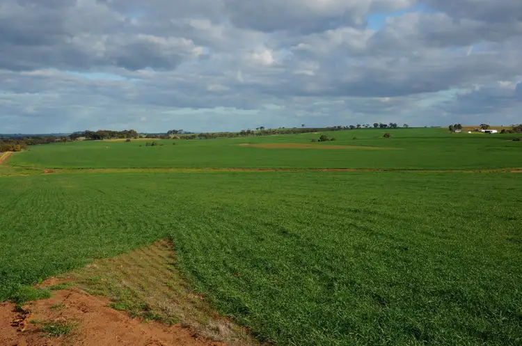 Sixth view of Homely rural property listing, 1963 Goomalling - Toodyay Road, Goomalling WA 6460