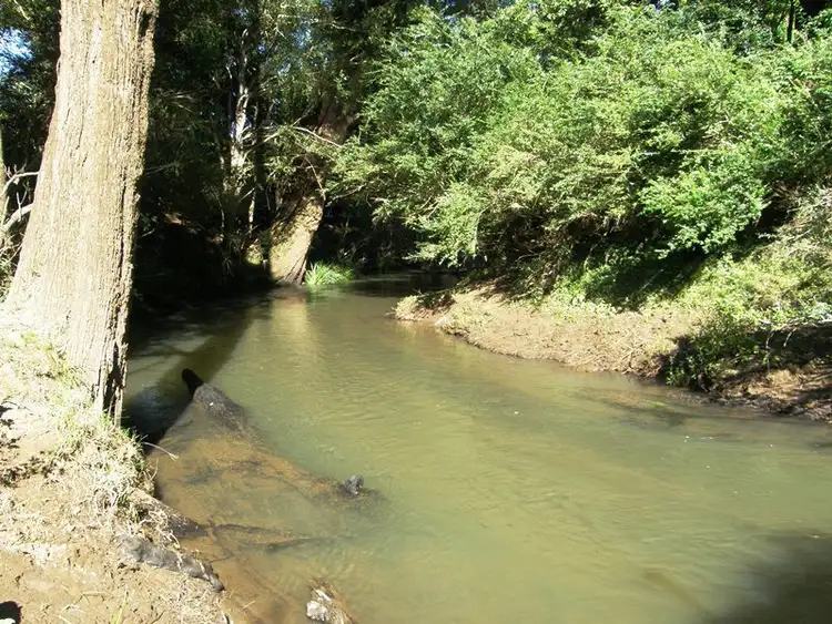 Third view of Homely rural property listing, Address available on request