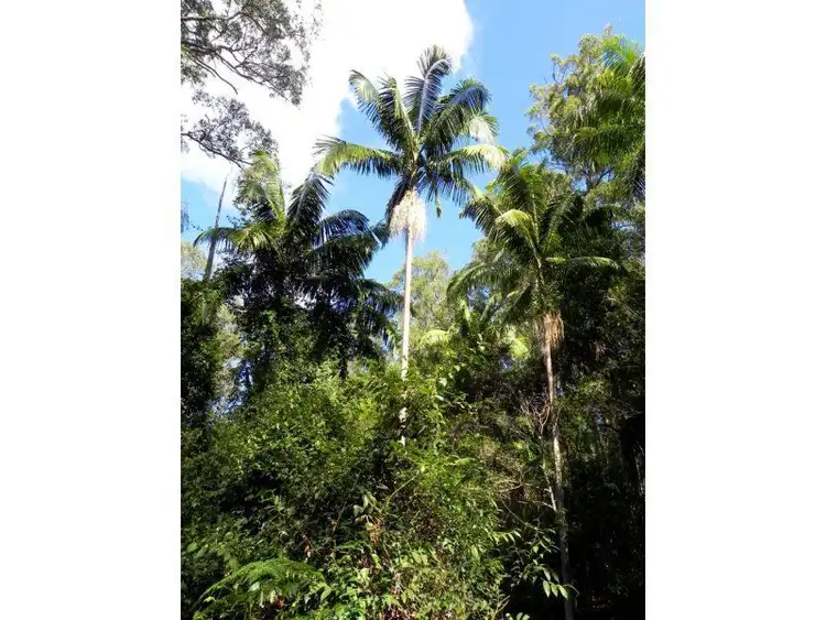 Third view of Homely rural property listing, 650 Bostock Road, Tucabia NSW 2462