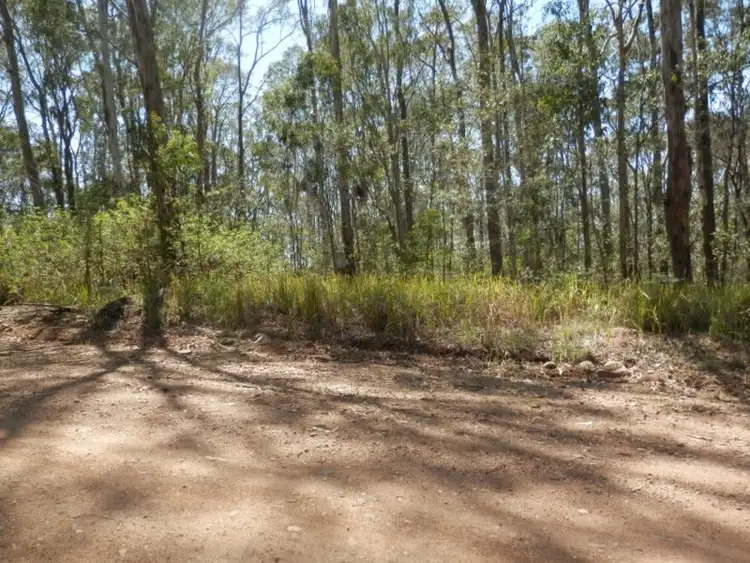 Fourth view of Homely rural property listing, Lot 4 Leslie Creek Road, Drake NSW 2469