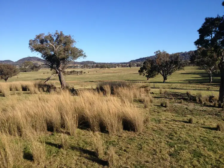 Seventh view of Homely rural property listing, Lot 53 & 54 Pyangle Road, Rylstone NSW 2849