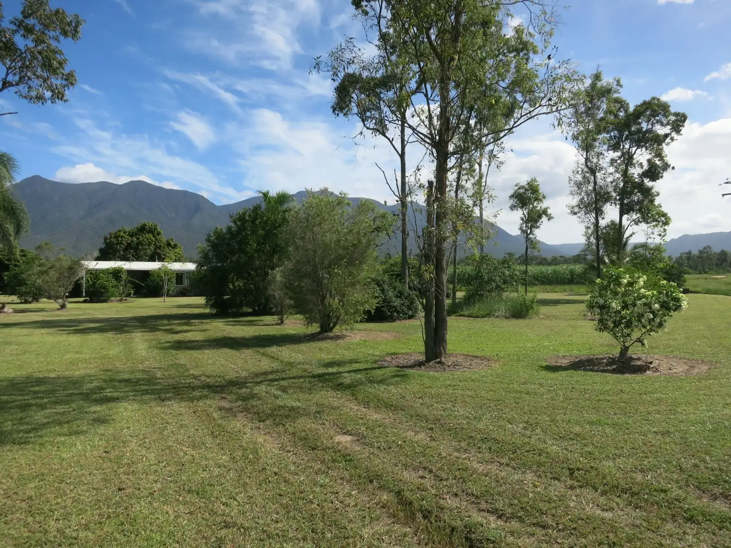 Main view of Homely rural property listing, 103 Sullivan Road, Carruchan QLD 4816