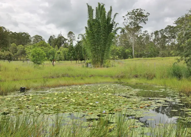 Fifth view of Homely rural property listing, 65 Wilton Road, Greens Creek QLD 4570