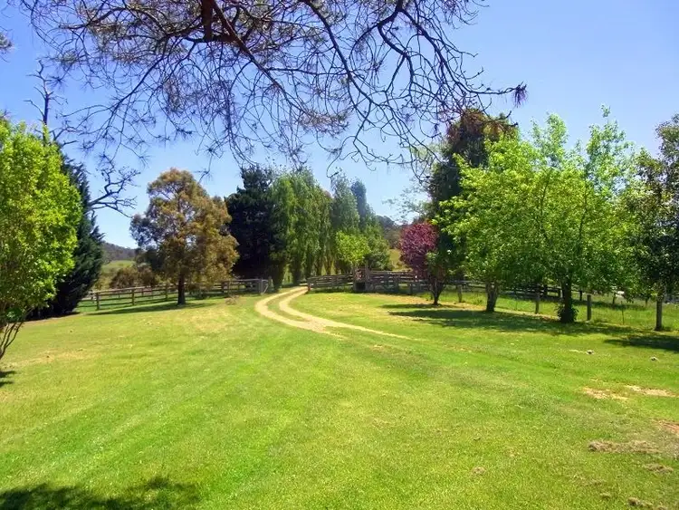 Second view of Homely rural property listing, 77 Umbach Road, Wyndham NSW 2550