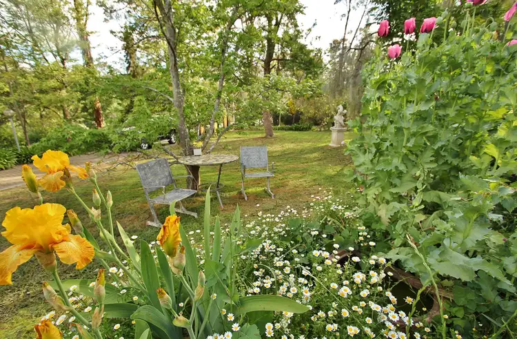 Third view of Homely house listing, 21 William Street, Springton SA 5235