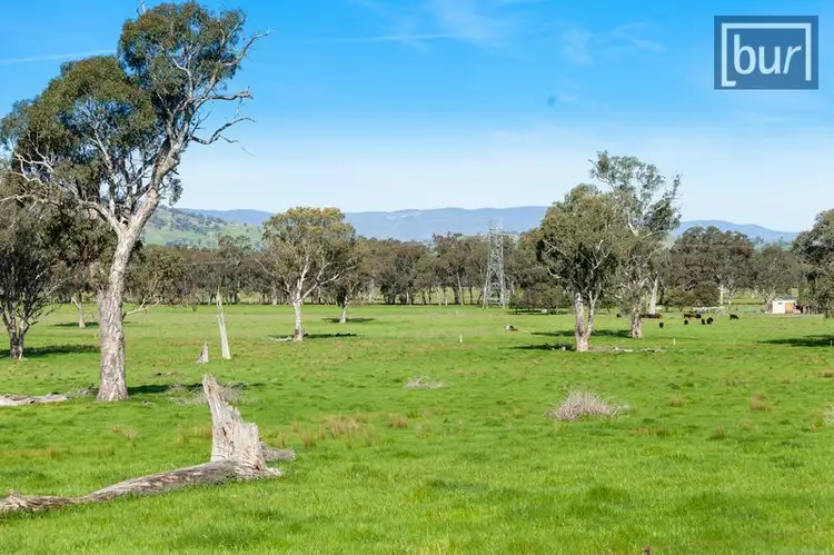 Second view of Homely rural property listing, 1097 Kiewa Valley Hwy, Baranduda VIC 3691
