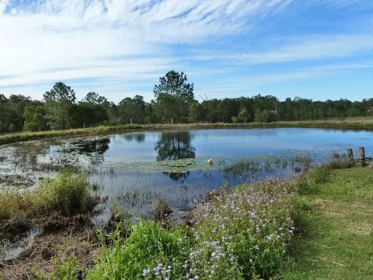 Seventh view of Homely rural property listing, 151 McDonald Road, Tinana South QLD 4650