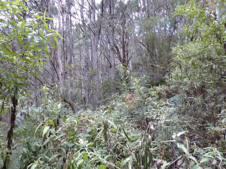 Second view of Homely land listing, Lot 1 Highland Lakes Road, Golden Valley TAS 7304