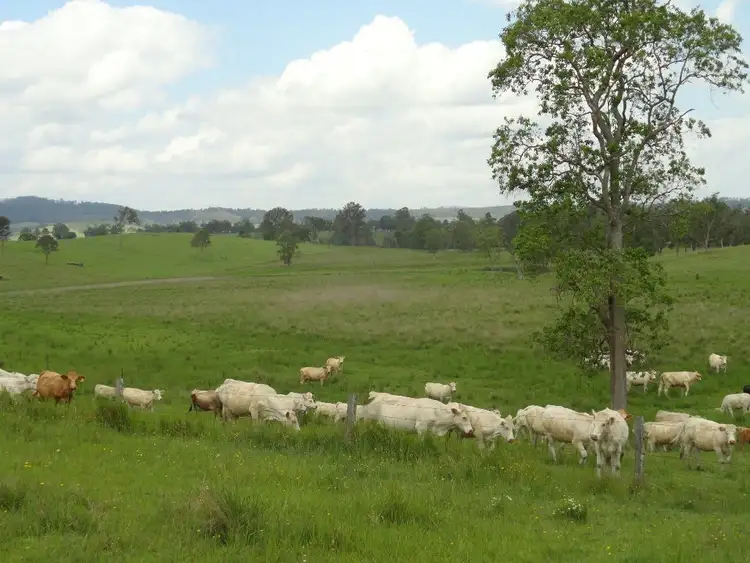 226 KNIGHTS ROAD, Kyogle NSW 2474