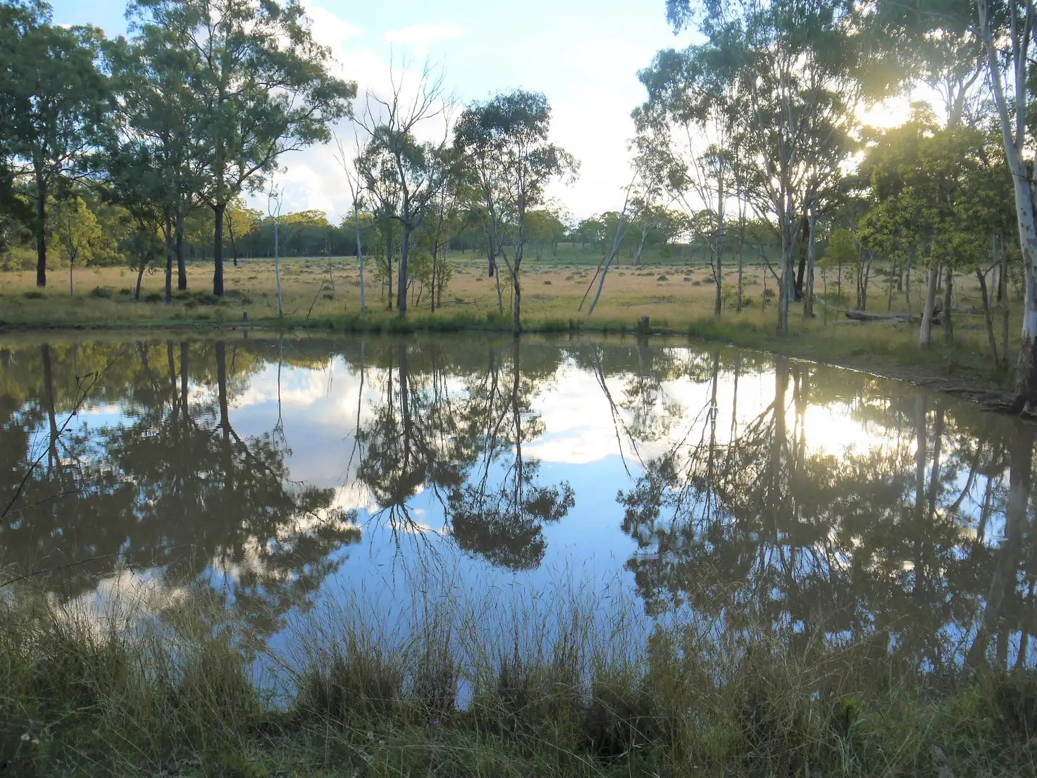 Main view of Homely rural property listing, 1/177 Lawlers Rd, Massie QLD 4370