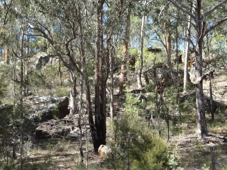 Third view of Homely rural property listing, Lot 3 Putty Valley Road, Putty NSW 2330