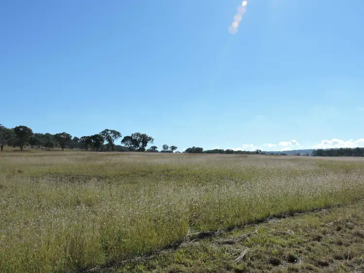 Third view of Homely land listing, L3 Forest Plain Road, Allora QLD 4362