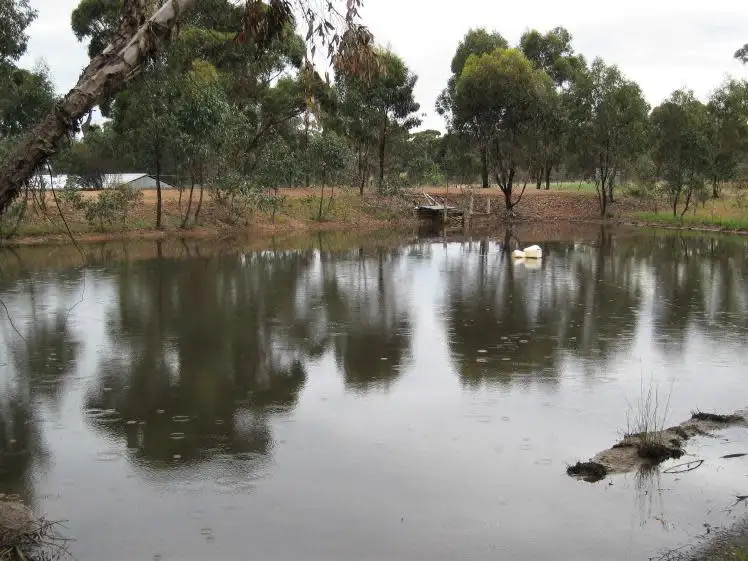 Fourth view of Homely rural property listing, 136 Mitchell Lane, Wedderburn VIC 3518