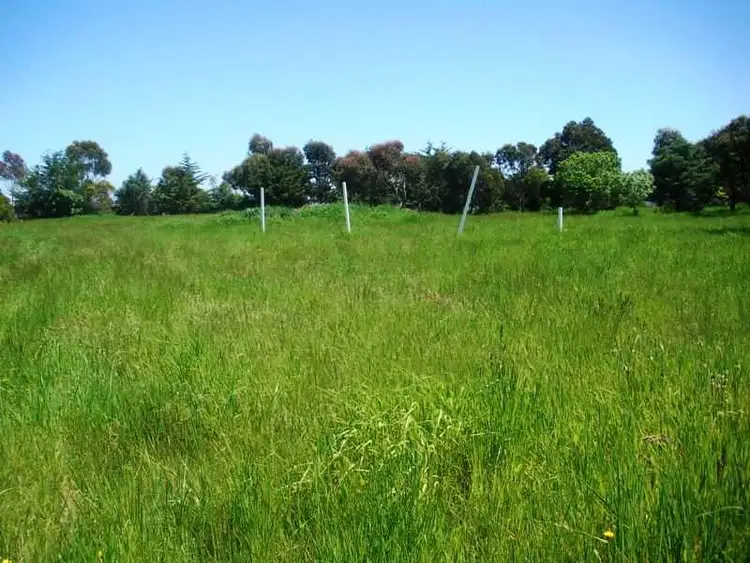 Fifth view of Homely rural property listing, 1336 Riddell Road, Riddells Creek VIC 3431