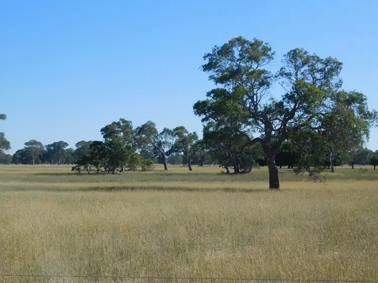 Fourth view of Homely rural property listing, 1203 Old Kalangadoo-Penola Road, Monbulla SA 5277